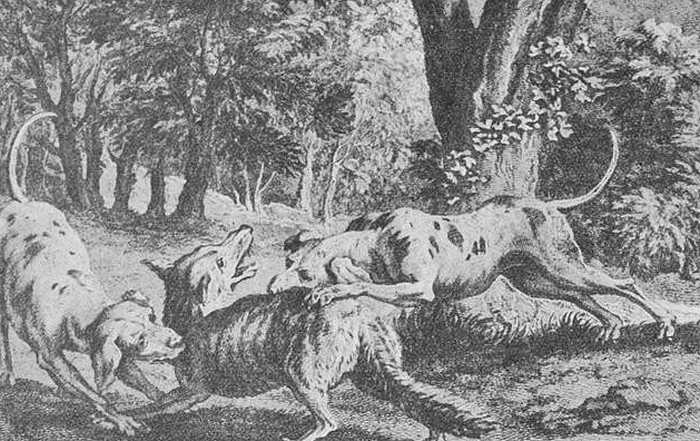 La chasse du loup par J.-B. Oudry - Illustration tirée du Traité de Vènerie par d'Yauville - BnF (Gallica)